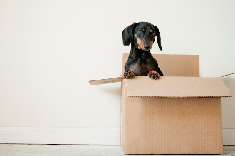 5 Benefits Of Removal Services
