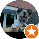 Gizmo profile picture